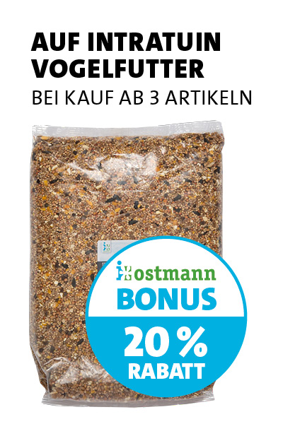 Bonus