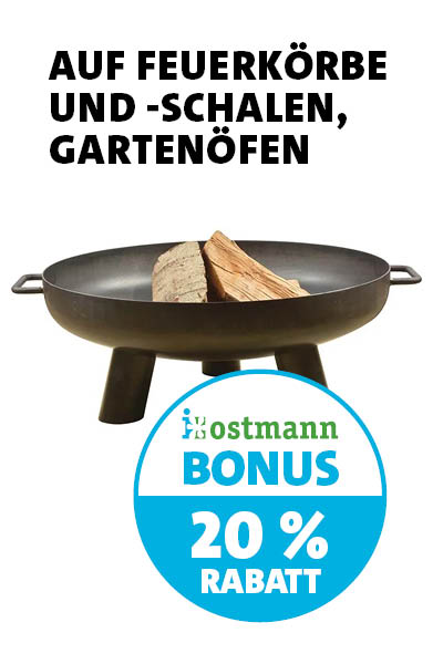 Bonus