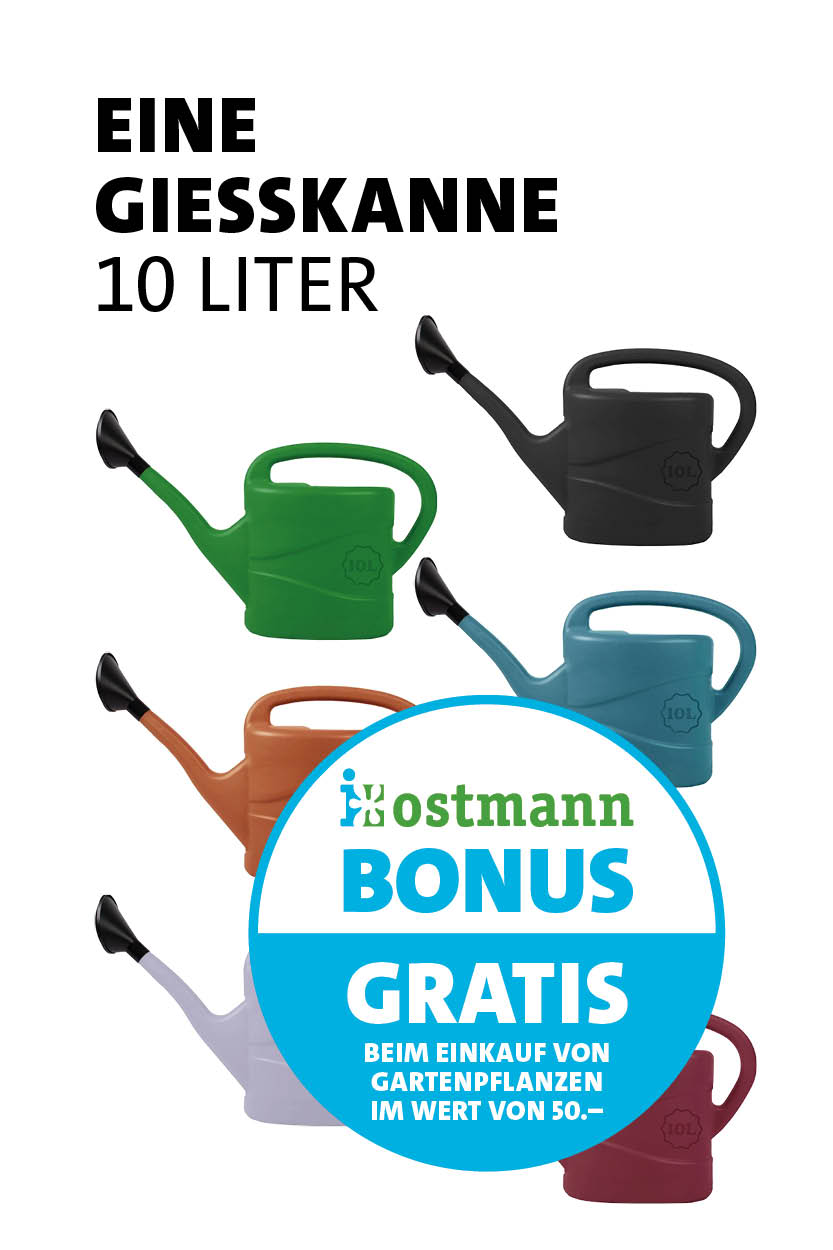 Bonus Giesskanne