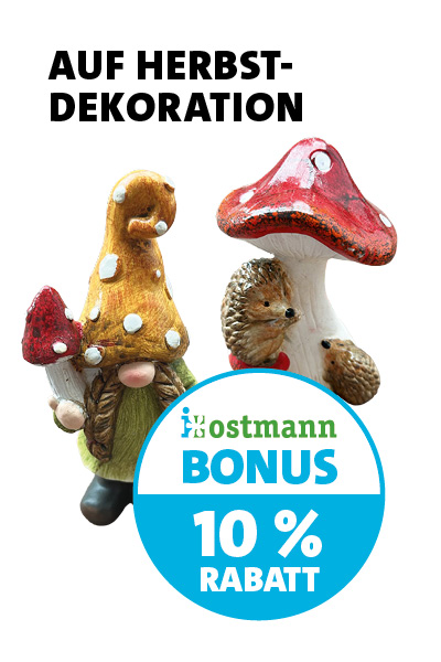 Bonus