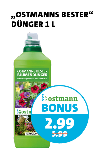 Bonus