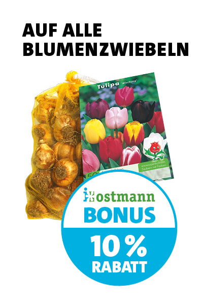 Bonus