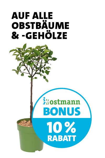 Bonus