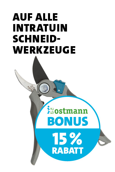 Bonus