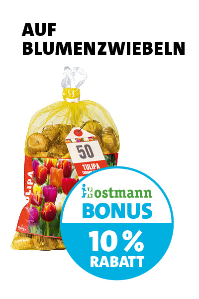 Bonus Blumenzwiebel