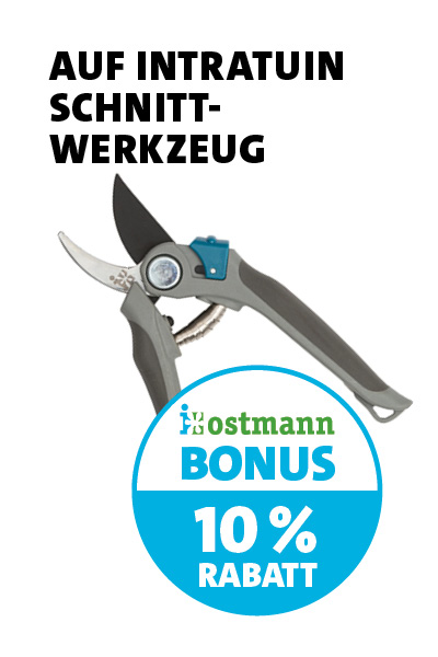 Bonus Schnittwerkzeug